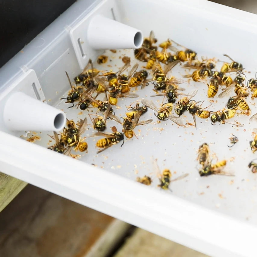 Ceracell Hive Defender Floor with Beast Blocker