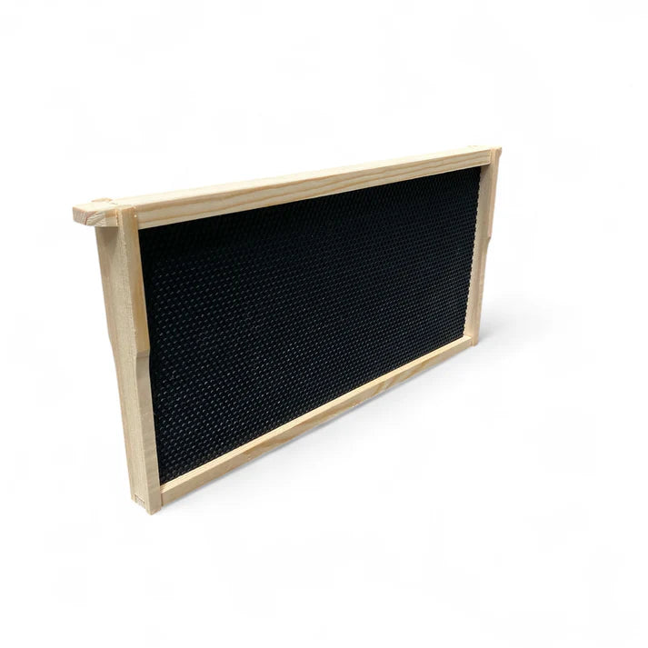 Full Depth Premium Assembled Frame with Waxed Plastic Foundation