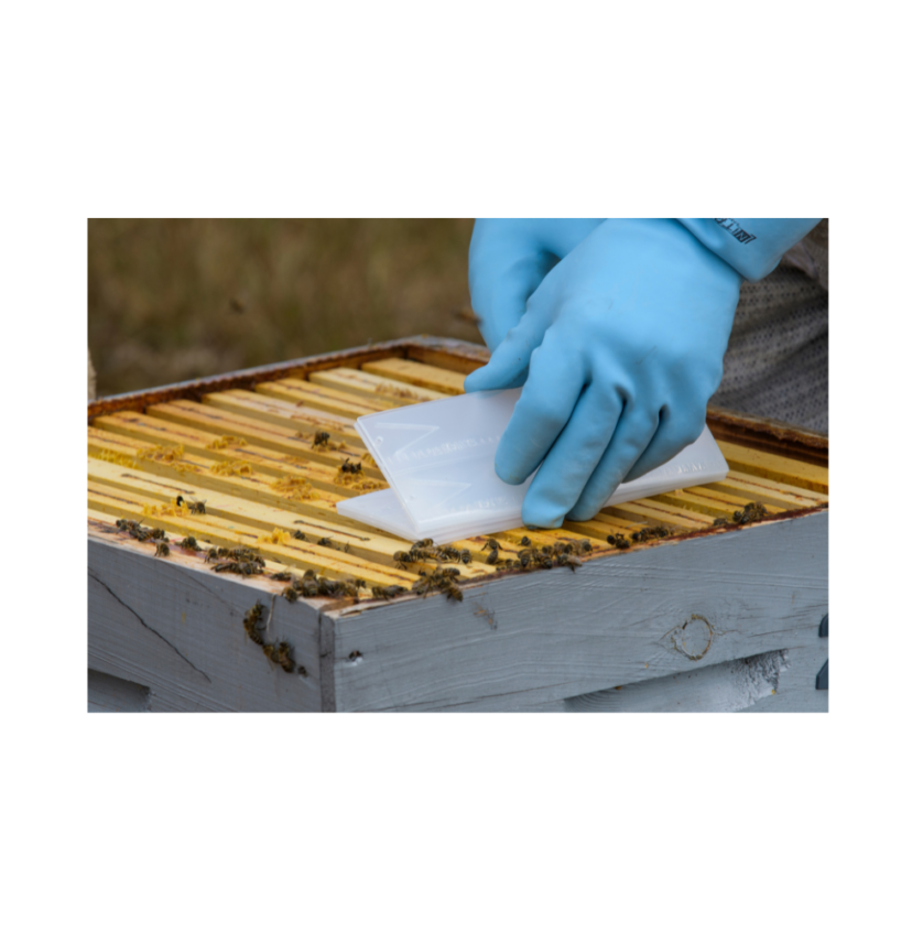 Apivar Miticide Strips - 4 Strips (Treats 2 Hives)