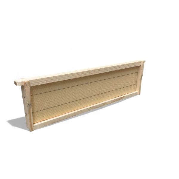 Ideal Waxed Frame