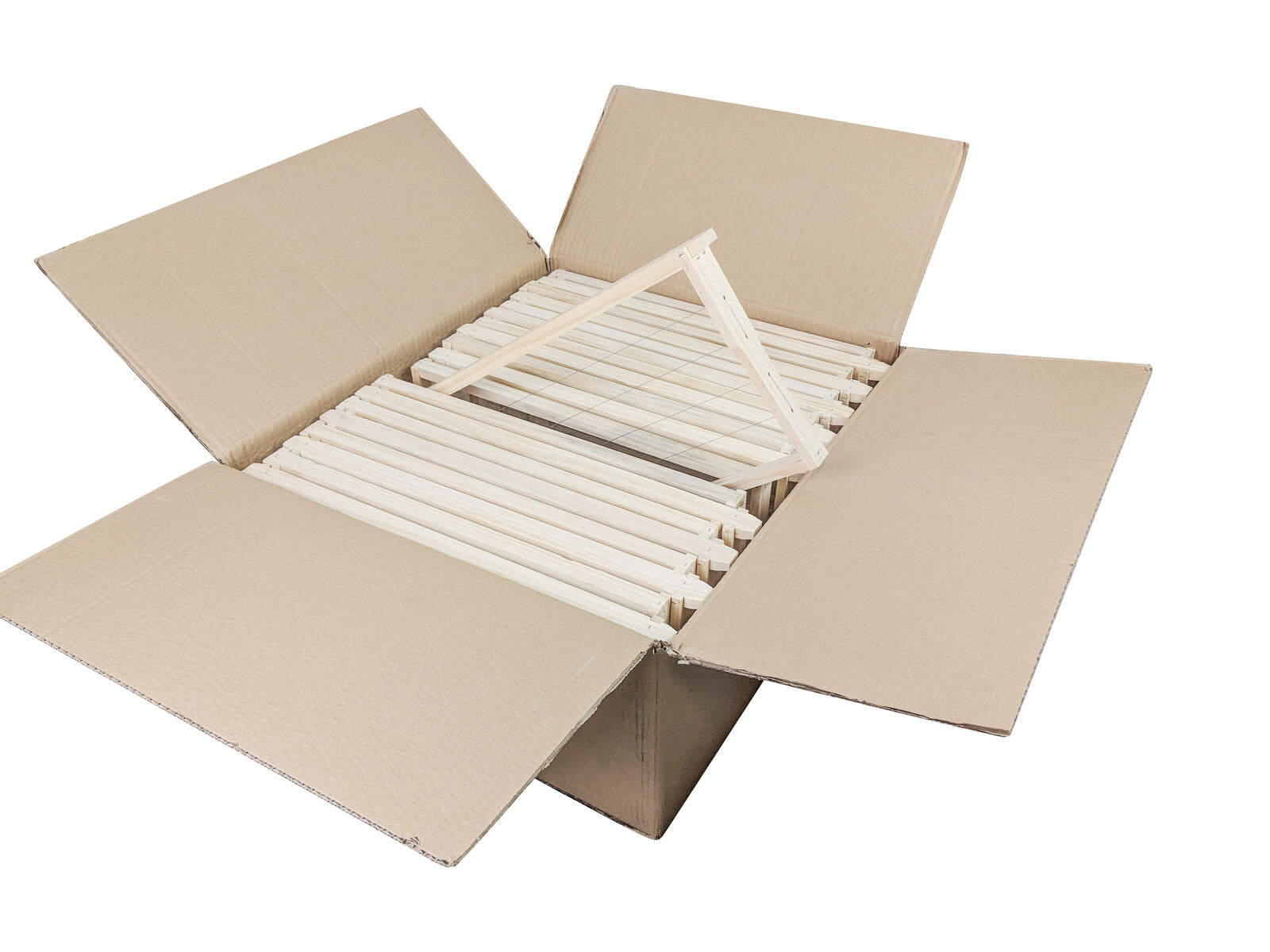 Full Depth Wired Frame