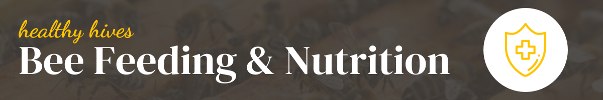 Bee Nutrition & Feeding