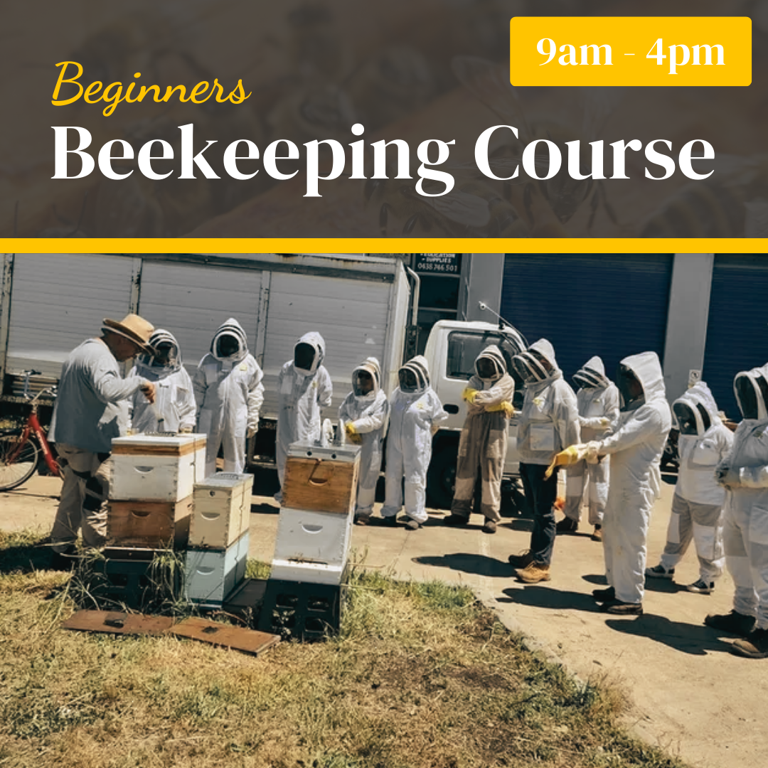 Beginners Beekeeping Course