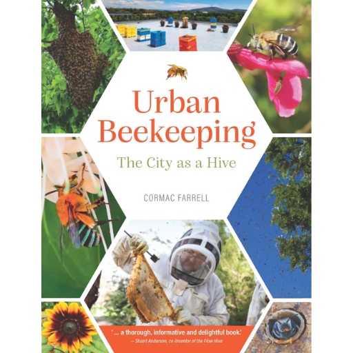 Urban Beekeeping: The City as a Hive