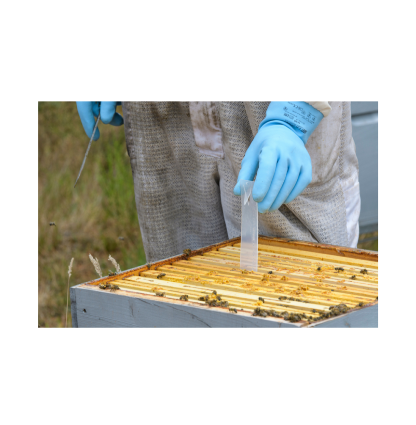 Apivar Miticide Strips - 4 Strips (Treats 2 Hives)