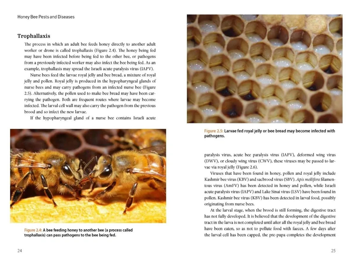 Honey Bee Pests and Diseases: A complete guide to prevention and management