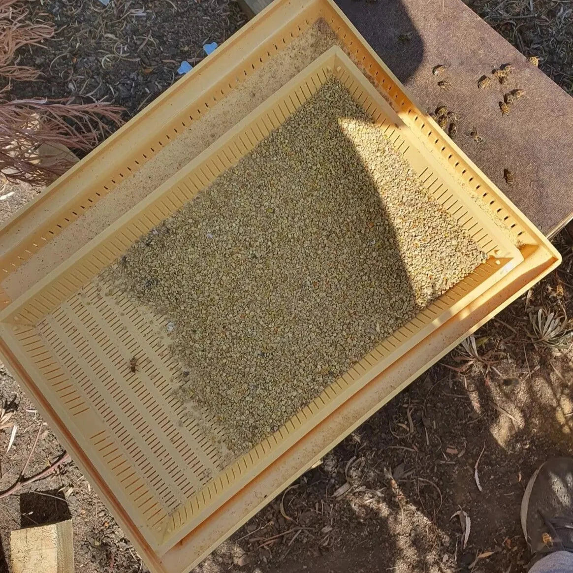 Plastic Bottom Board with Pollen Trap - Discounted