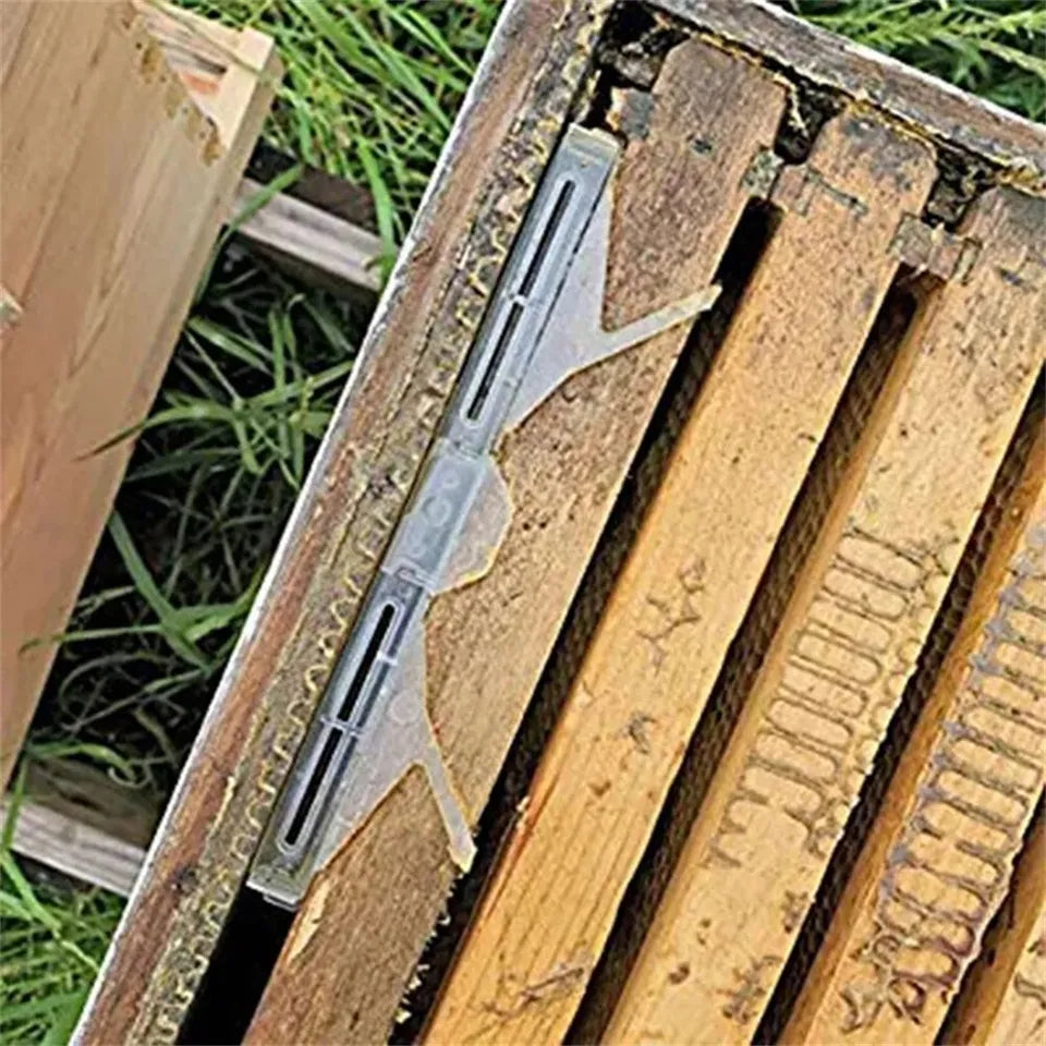 Small Hive Beetle Trap